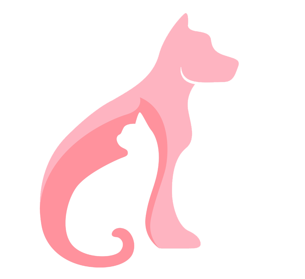 Dog and Cat transparent